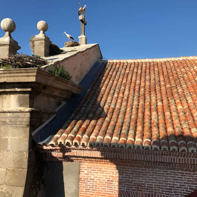 Iglesia de Santa Mar�a La Mayor. Alcal� de Henares. Madrid. - Rehabilitaci�n | Edificios Religiosos - K�rkide | Proyectos de restauraci�n y rehabilitaci�n